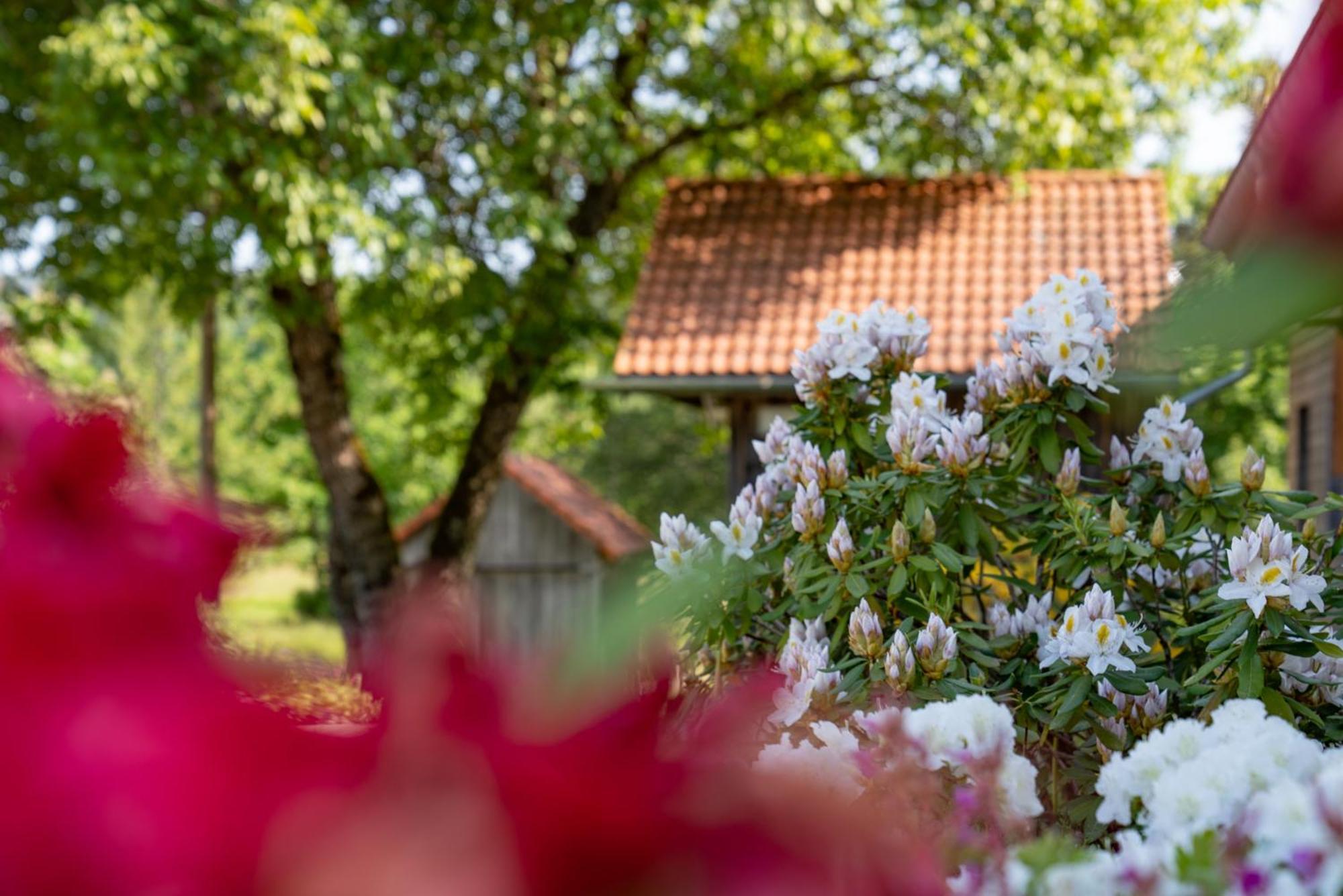 Auberge De La Poulciere เฌราร์แมร์ ภายนอก รูปภาพ