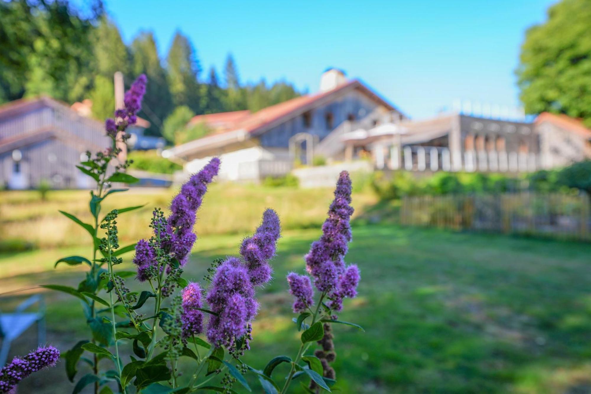Auberge De La Poulciere เฌราร์แมร์ ภายนอก รูปภาพ